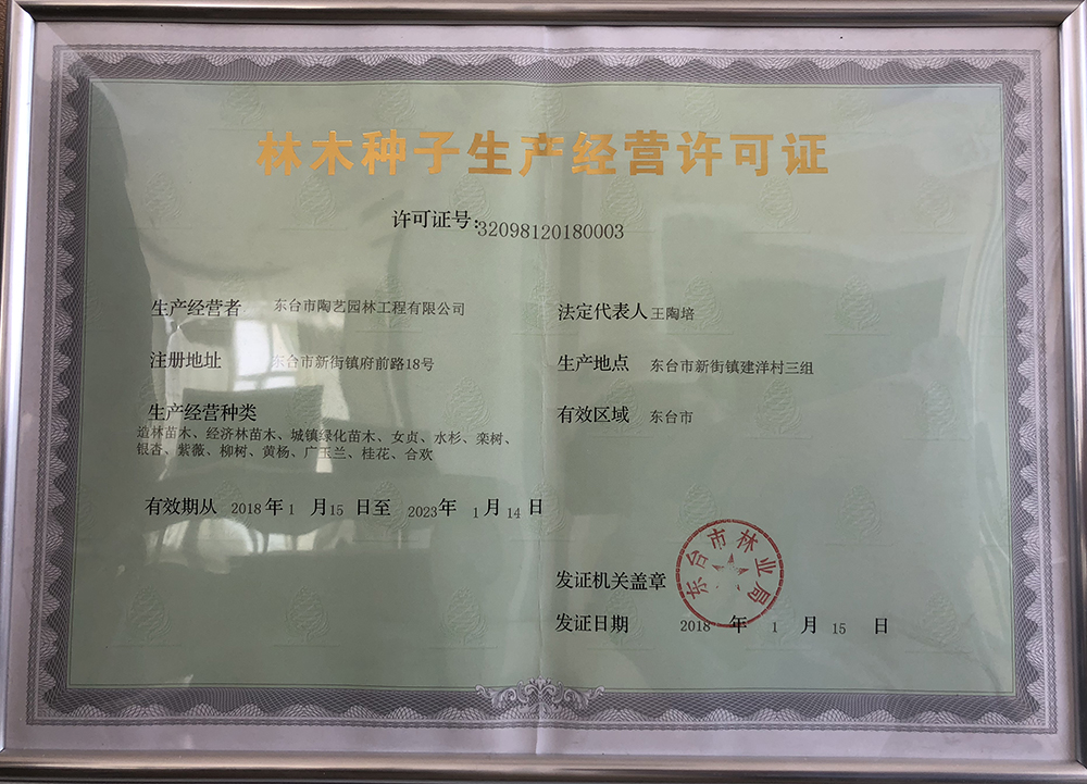 荣誉资质