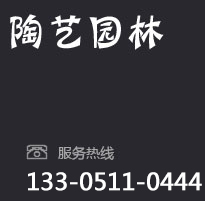 大叶女贞小苗